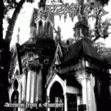 SZARLEM - Screams From A Chamber 7
