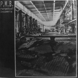 P.M.B. - Perpetual Insomnia LP (Membrum Debile Propaganda)