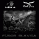 DARK FURY/POPRAVA - Furor Slavica LP (Lower Silesian Stronghold/Heidenwut Productions)