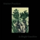 AURUM NOSTRUM/SONNE HAGAL - Sinister Practices In Bright Sunshine LP (Ring Tor Elementarer Klangkunst)