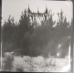 STRIBORG - Black Desolate Winter / Depressive Hibernation 2LP (Aphelion Productions)