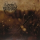 WOODS OF DESOLATION - Sorh LP (Eisenwald Tonschmiede/Eternity Records)