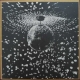 YOUNG, NEIL - Mirror Ball 2LP (Reprise)