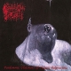 PROSANCTUS INFERI - Pandemonic Ululations Of Vesperic Palpitations LP (Hells Headbangers)